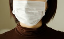 免疫だけを鍛えても足りない？春の花粉症ケアとアロマの関係